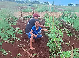 Plantio de alimentos nas aldeias é trabalho silencioso