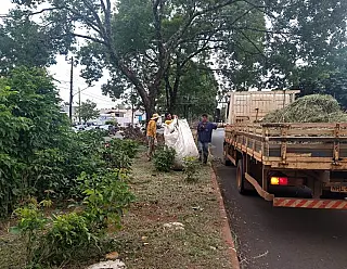Após temporal, galhos já lotaram 500 caminhões