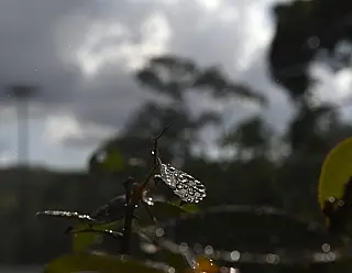 Pode chover em áreas do Sul do Estado