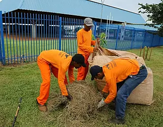 Prefeitura busca parceria com Exército para limpar escolas até volta às aulas
