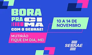 "Fique em Dia, MEI!" leva atendimento do Sebrae a seis municípios da região Sul de MS