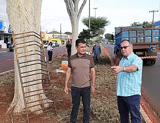 Canteiros centrais começam a ser revitalizados