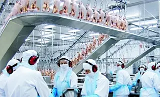 Subsidiária da JBS em Sidrolândia está proibida de exportar para a União Europeia