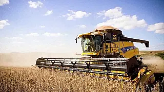 Cresce a participação de Mato Grosso do Sul na produção agrícola do país