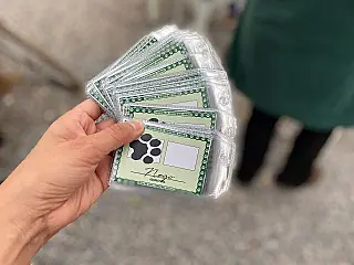 Dourados cadastra tutores para castração animal
