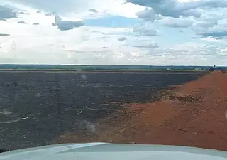 Usina é multada por incêndio em palhada