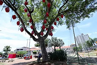 Prefeito coloca o coração na agenda do Natal