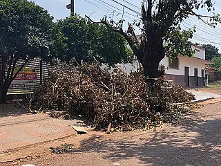 Energisa poda árvores e abandona galhos e sujeira sob risco de incêndio