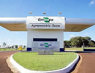 Embrapa inscreve para concurso até 7 de janeiro