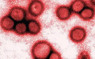 Saúde confirma mais morte por Influenza