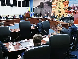 Vereadores discutem estruturação do Conselho de Proteção dos Animais