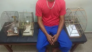 Homem é multado por manter aves em cativeiro