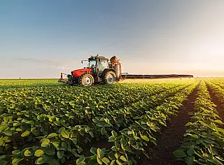 Rússia ameaça suspender acordo e alimentos devem subir