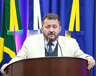 Laudir cobra retomada de serviços de picotagem de galhos