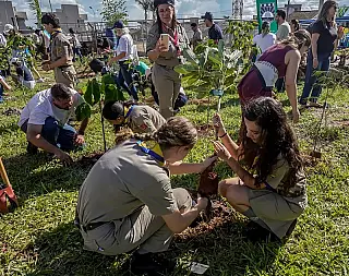 COP15 termina com criação de Bosque na Capital