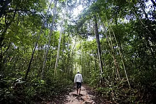 ONU diz que uso eficiente de recursos naturais pode injetar US$ 2 tri na economia
