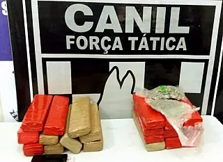 Cadela detecta droga com adolescentes em ônibus na rodoviária