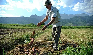 Projetos de agricultura sustentável vão receber US$ 1,2 bi do BID