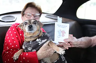 Mais de 1500 animais vacinados no fim de semana