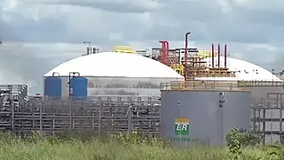 Petrobras retoma o processo de venda da fábrica em MS