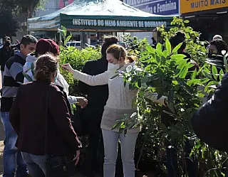 Meio Ambiente é celebrado com mais plantas