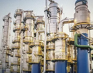 Inpasa investe R$ 4,9 bi em expansão e inovação sustentável  