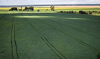 Produtores querem mostrar sustentabilidade da agropecuária na COP-27