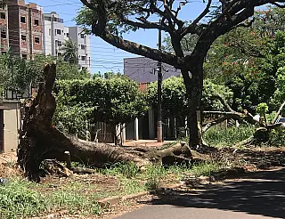 Um mês depois