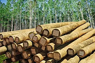 Em março as exportações do agronegócio brasileiro somaram US$ 8,73 bilhões