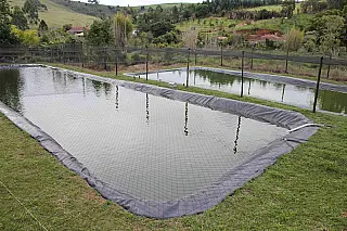 Pequenos projetos de criação de peixes não precisam de licença