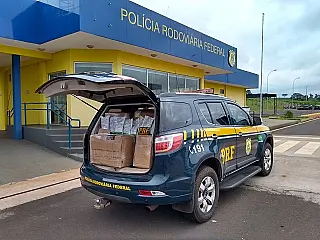 Agrotóxico chinês embalado como erva mate é apreendido pela PRF na BR-163