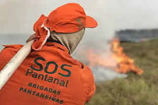 Incêndios no Pantanal já consumiram este ano mais de 15% do bioma