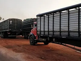 Iagro e DOF apreendem caminhões com gado do Paraguai e nota falsa