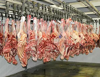 Preço da arroba do boi teve ligeira valorização em MS no mês de março, aponta Famasul