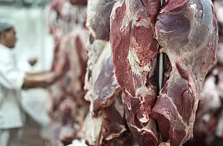 Estado registra superávit de 9,5% em exportações