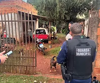 Homem descumpre medida para 'visitar' filhos