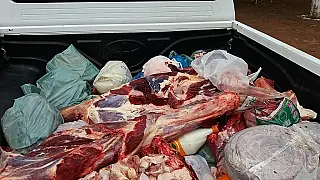 Polícia apreende 2,5 toneladas de carne impróprias para consumo em municípios de MS
