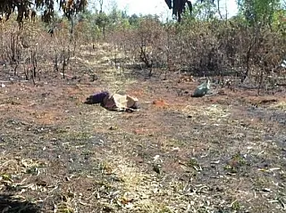 Indígena tem a língua quase arrancada pelo marido em aldeia de Amambai