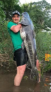 Homem pesca surubim de 31 kg um dia antes do início da Piracema em MS
