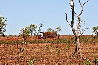Logística deficiente trava desenvolvimento de Mato Grosso do Sul