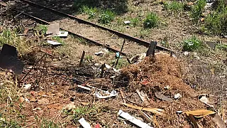 Trabalhadores acham corpo carbonizado durante limpeza de terreno baldio