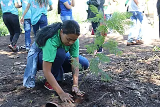 Imam promove plantio de mudas no Córrego Jaguapiru com alunos de escolas indígenas