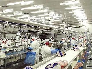 China, UE e Argentina suspendem importação do frango brasileiro