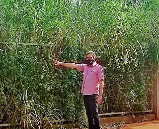 Cemar pede limpeza no Parque Rego D’Água e na rua Leônidas Além
