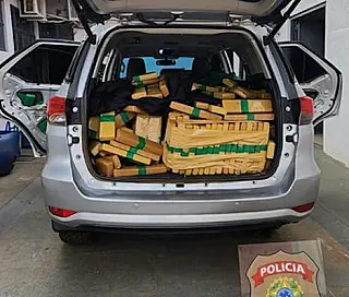 Federal apreende quase uma tonelada de maconha