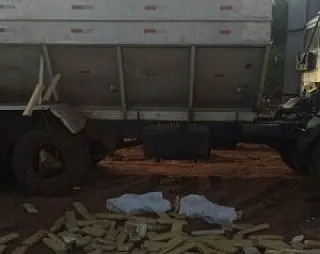 Federal desmantela grupo e apreende 3,2 ton de maconha