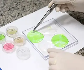 Embrapa começa a produzir carne em laboratório