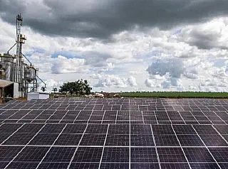 Sanesul tem compromisso com a responsabilidade ambiental