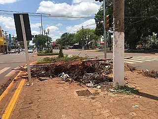 Prefeito eleito promete ajudar Délia Razuk a limpar a cidade ainda este ano