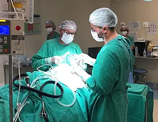 MS capta R$ 14 milhões para cirurgias especializadas